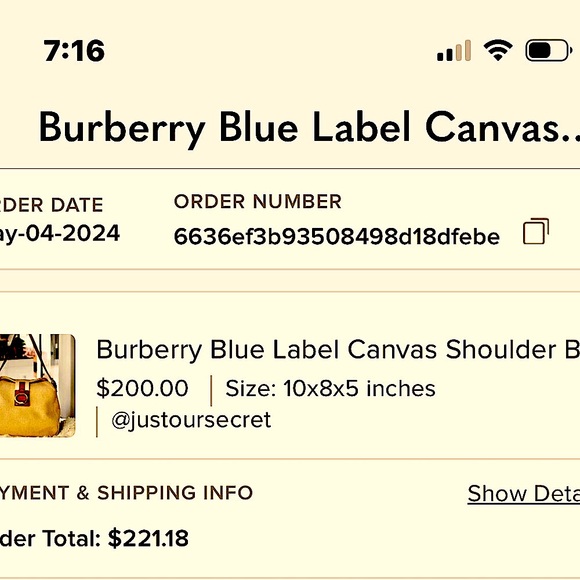 Burberry Blue Label Canvas Shoulder Bag - Picture 11 of 11